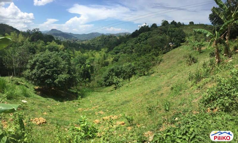 Picture of Agricultural Lot for sale in Cebu City in Philippines