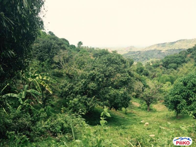 Picture of Agricultural Lot for sale in Cebu City in Philippines