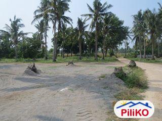 Commercial Lot for sale in Cebu City - image 6