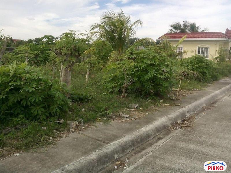 Residential Lot for sale in Cebu City - image 7