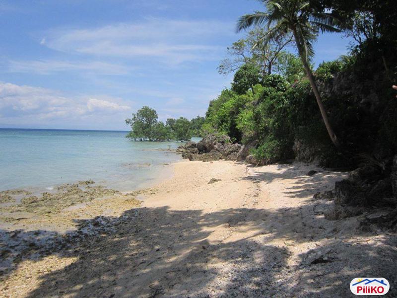 Residential Lot for sale in Cebu City - image 7