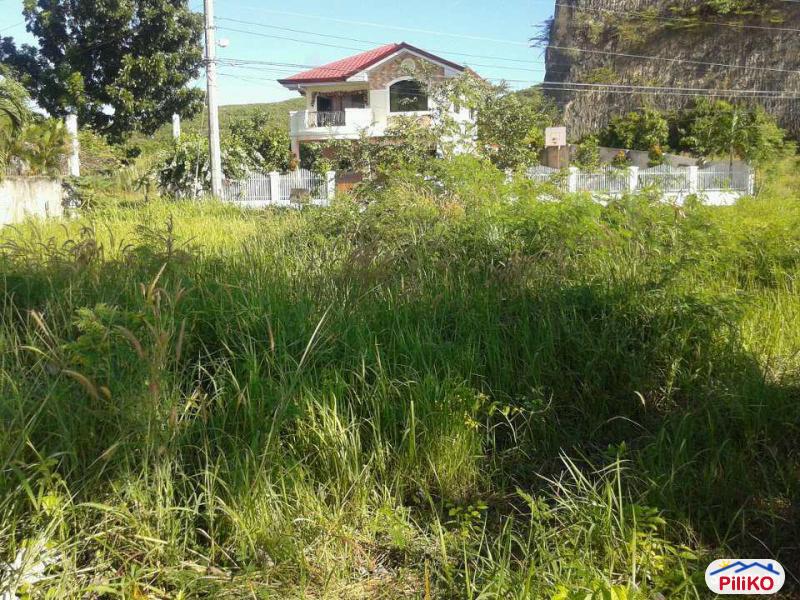 Residential Lot for sale in Cebu City - image 7