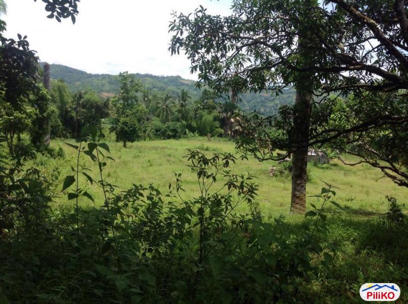 Agricultural Lot for sale in Cebu City in Cebu - image
