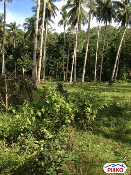 Residential Lot for sale in Cebu City in Cebu - image