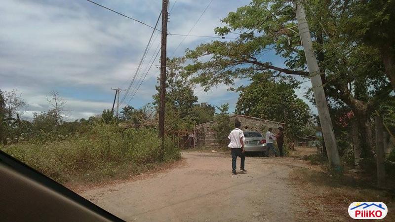 Residential Lot for sale in Cebu City in Cebu - image