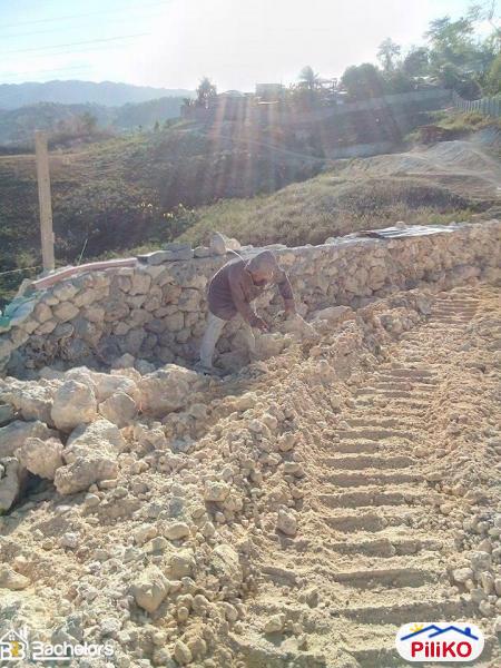 Residential Lot for sale in Cebu City in Cebu - image