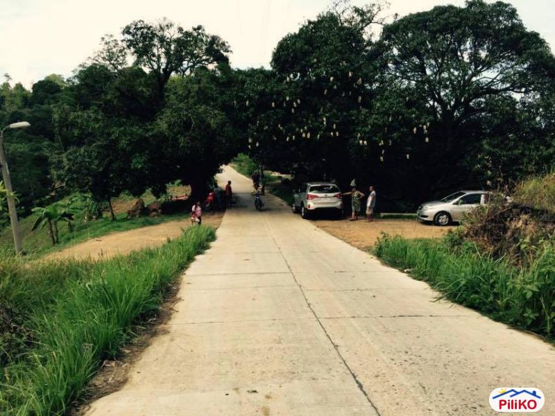 Agricultural Lot for sale in Cebu City in Cebu - image