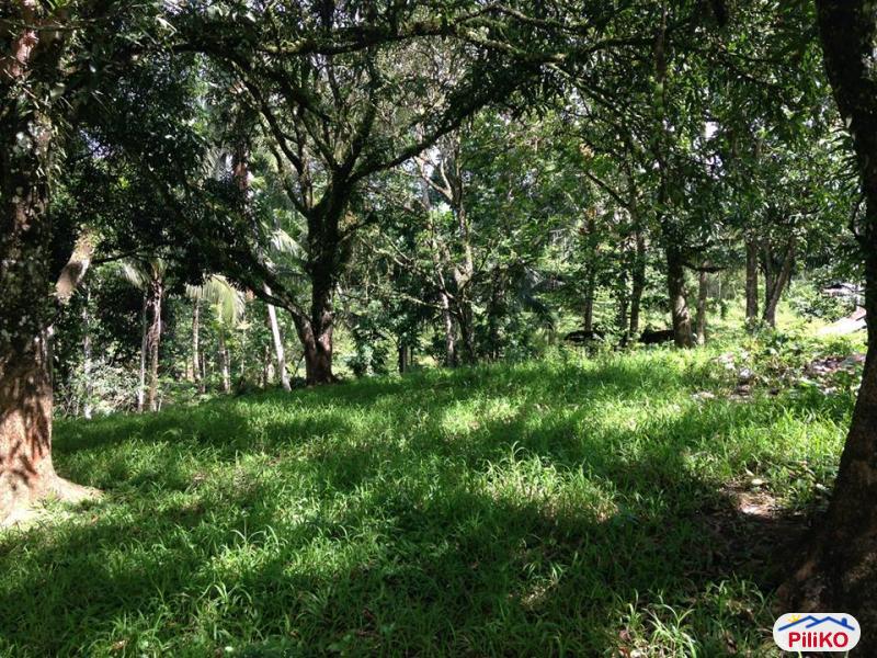 Residential Lot for sale in Cebu City in Philippines - image