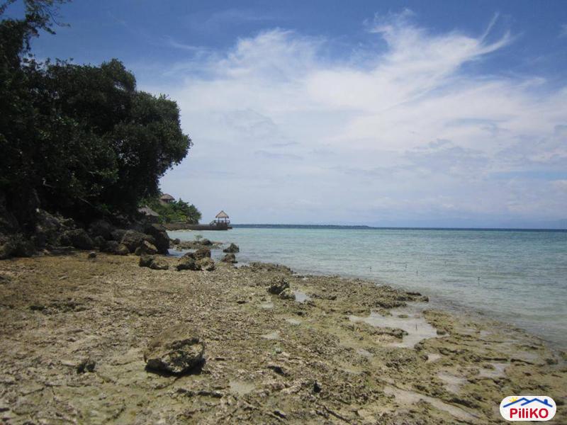 Residential Lot for sale in Cebu City - image 8