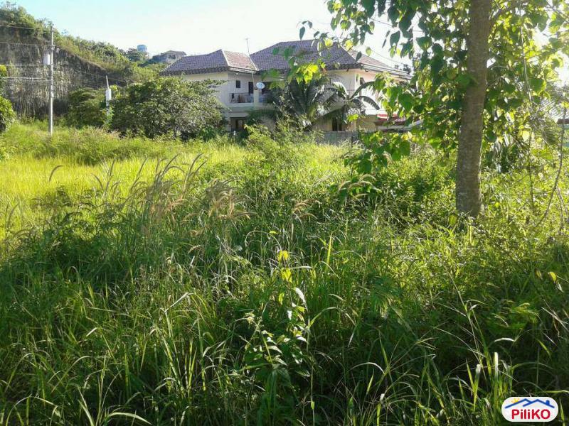 Residential Lot for sale in Cebu City in Philippines - image