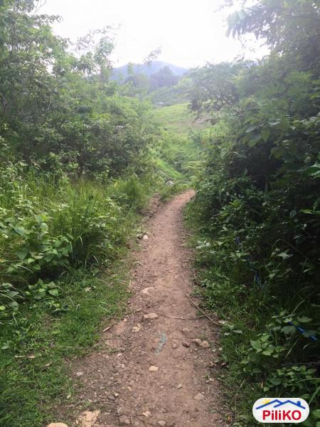 Agricultural Lot for sale in Cebu City - image 8