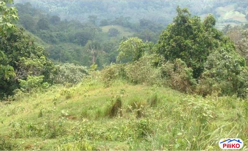 Agricultural Lot for sale in Cebu City in Philippines - image