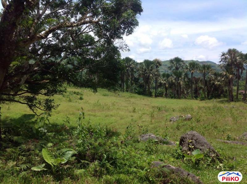 Agricultural Lot for sale in Cebu City in Philippines - image