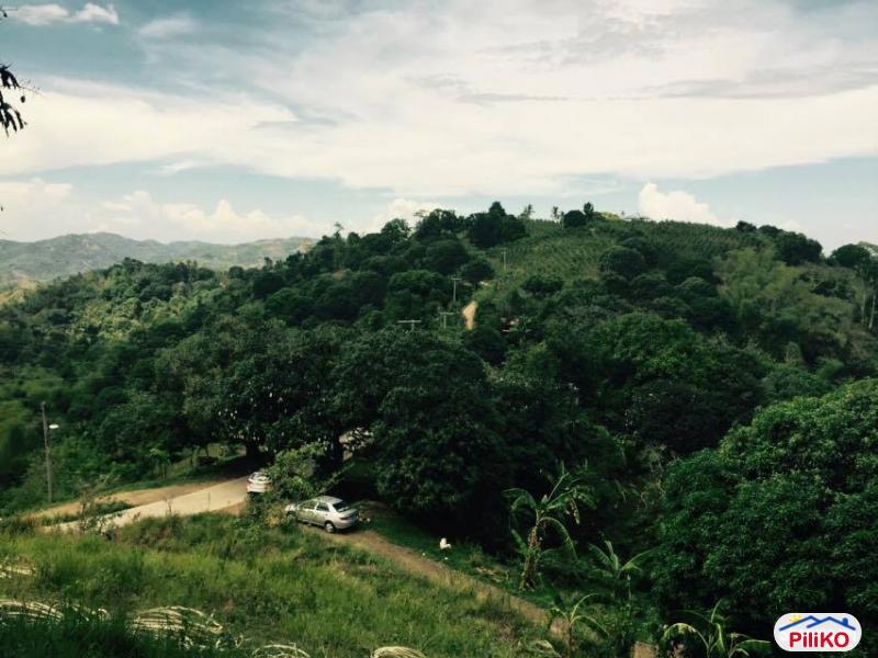 Agricultural Lot for sale in Cebu City in Philippines - image