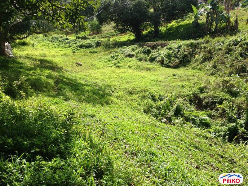 Residential Lot for sale in Cebu City - image 9