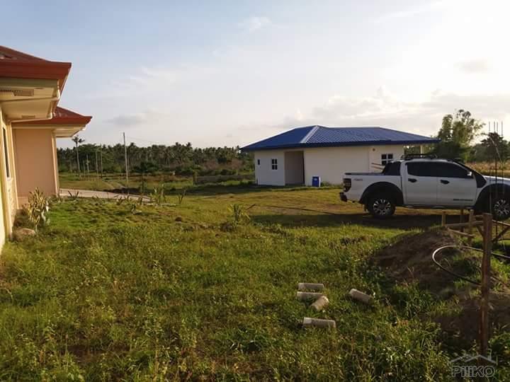 Residential Lot for sale in Dauin - image 10