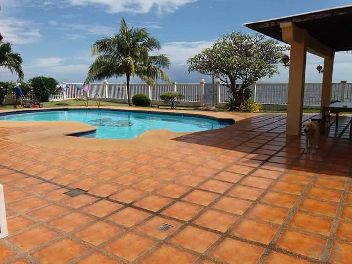 3 bedroom House and Lot for sale in Dauin - image 10