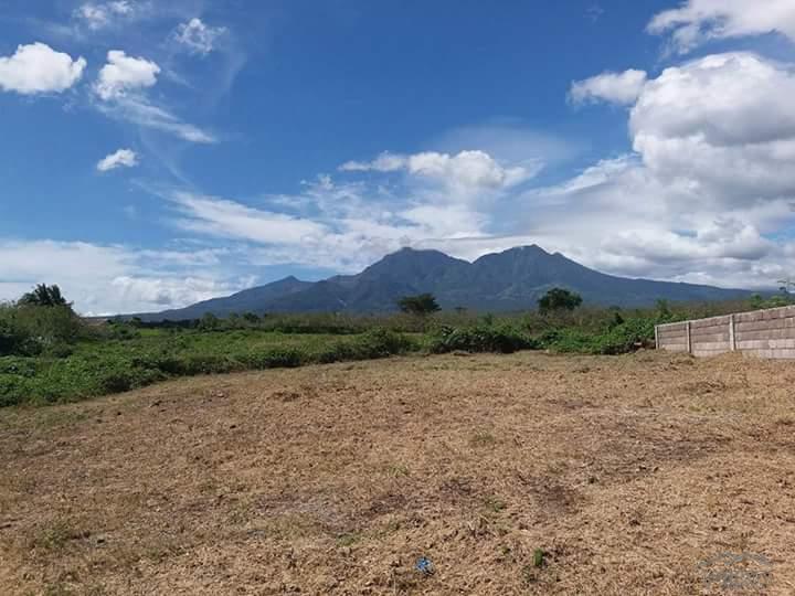 Residential Lot for sale in Dauin - image 11