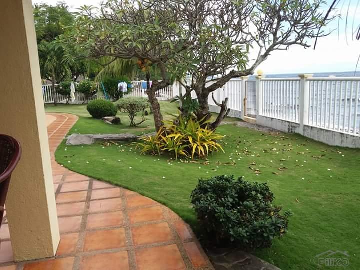 3 bedroom House and Lot for sale in Dauin - image 11