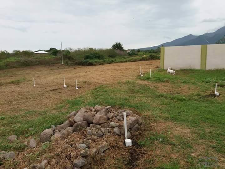 Residential Lot for sale in Dauin - image 12