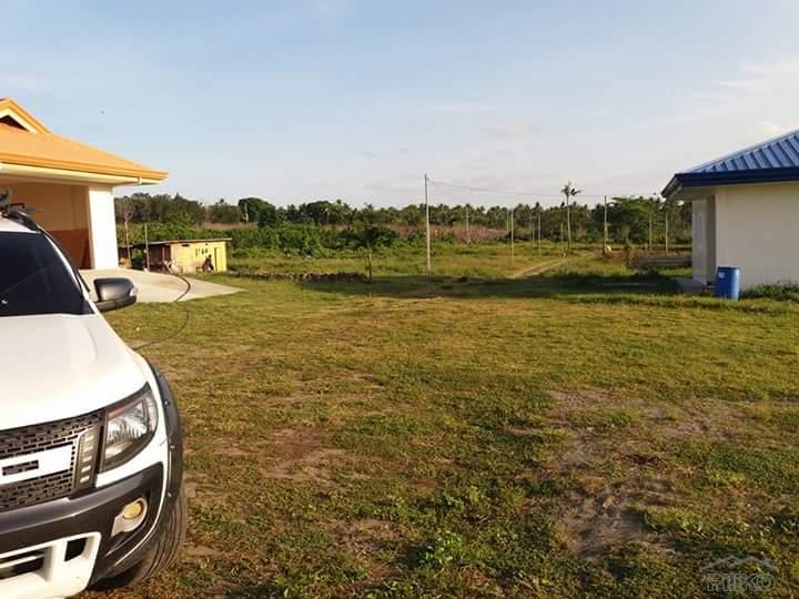 Residential Lot for sale in Dauin - image 13