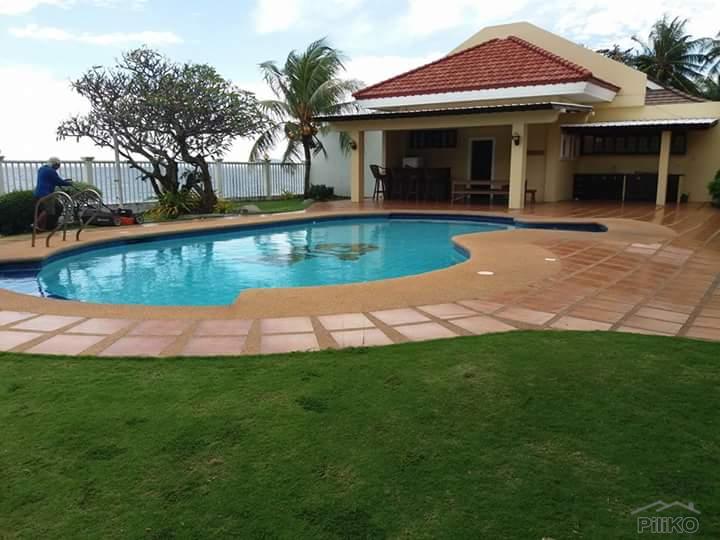 3 bedroom House and Lot for sale in Dauin - image 13