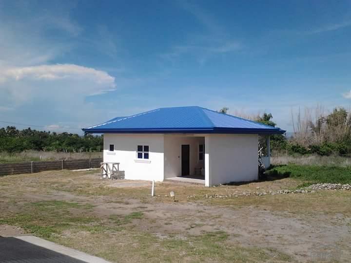 Residential Lot for sale in Dauin - image 14