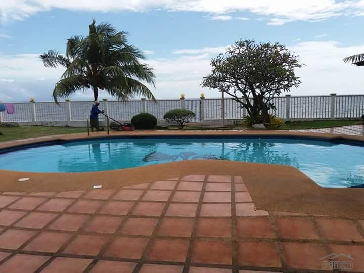 3 bedroom House and Lot for sale in Dauin - image 14