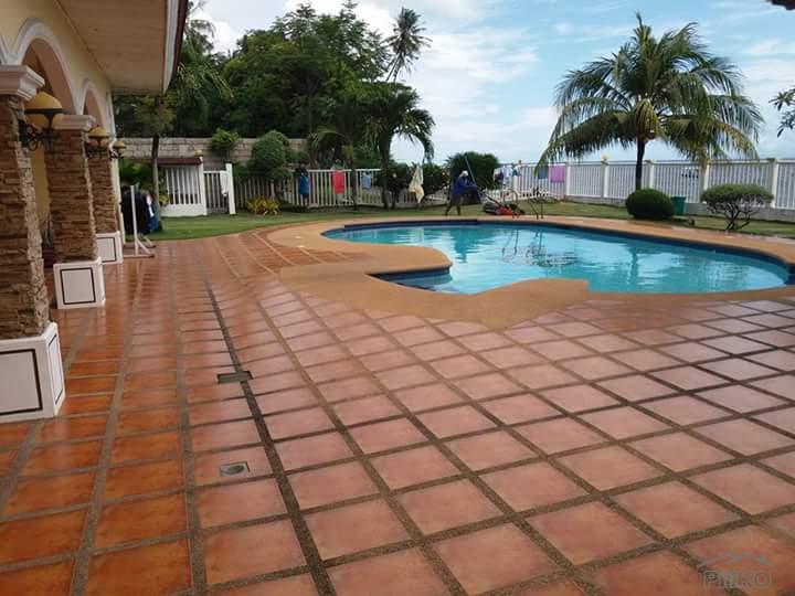 3 bedroom House and Lot for sale in Dauin - image 15