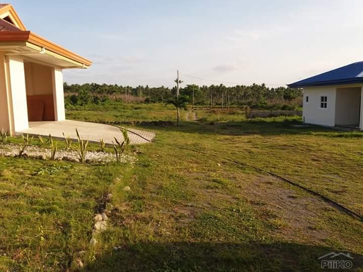 Residential Lot for sale in Dauin - image 16