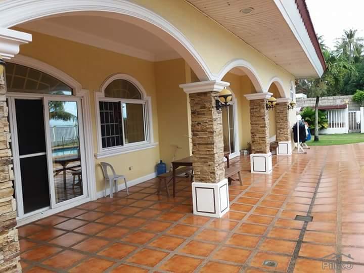 3 bedroom House and Lot for sale in Dauin - image 16