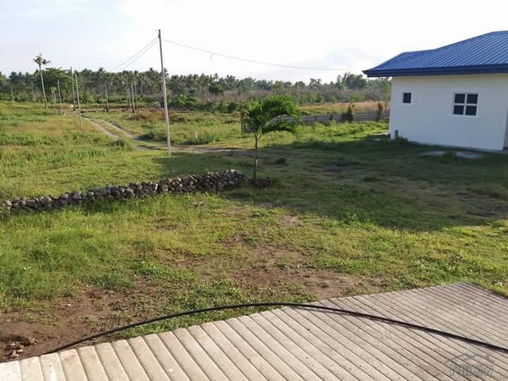 Residential Lot for sale in Dauin - image 18