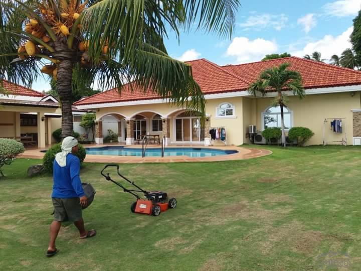 3 bedroom House and Lot for sale in Dauin