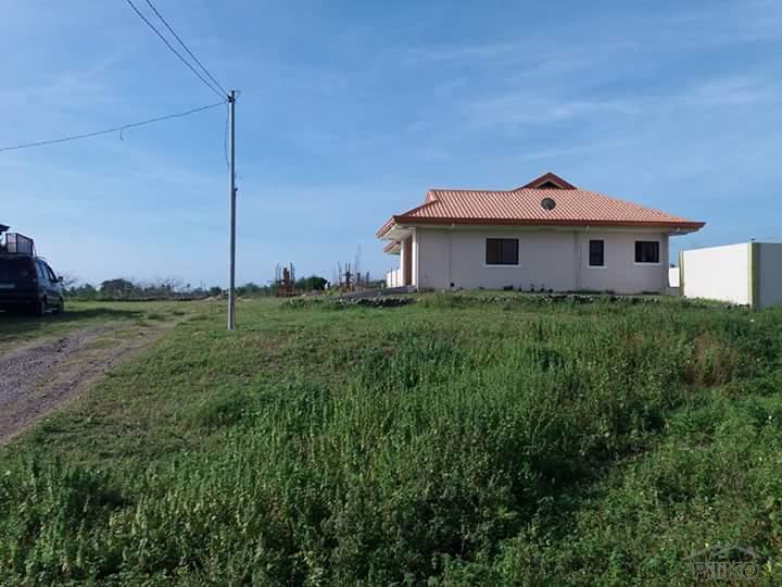 Residential Lot for sale in Dauin - image 5