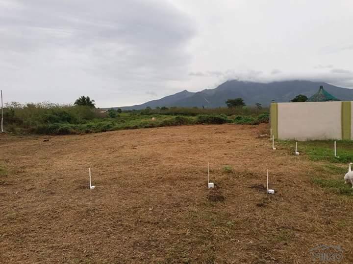 Residential Lot for sale in Dauin - image 6