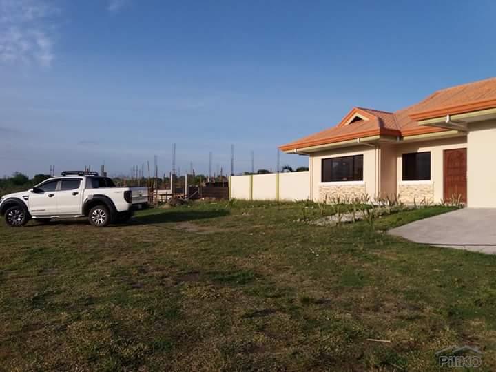 Residential Lot for sale in Dauin - image 9