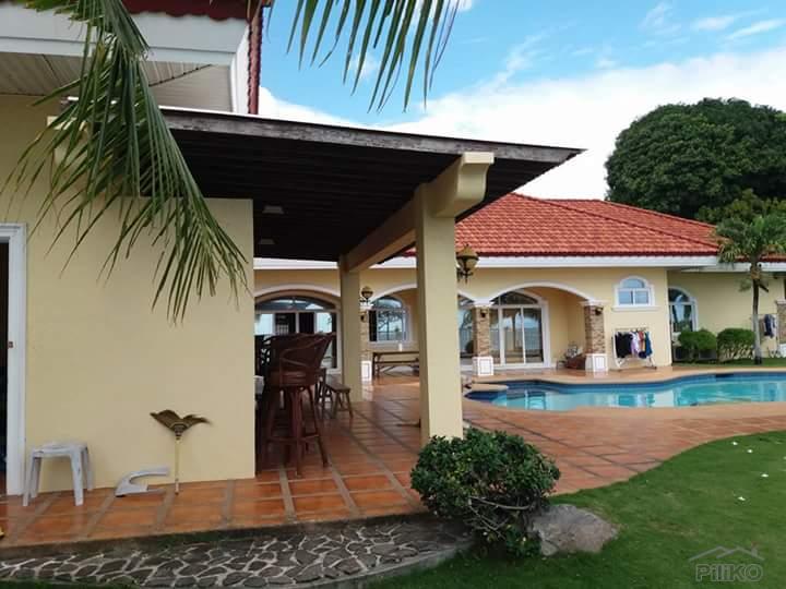3 bedroom House and Lot for sale in Dauin - image 9