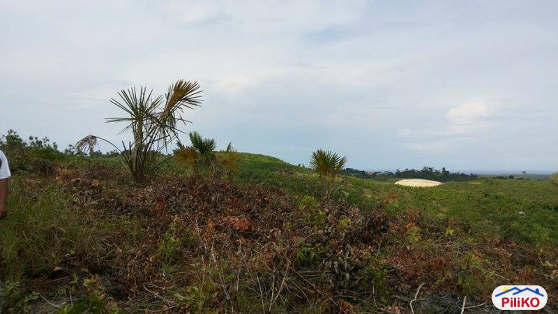 Other lots for sale in Consolacion in Cebu