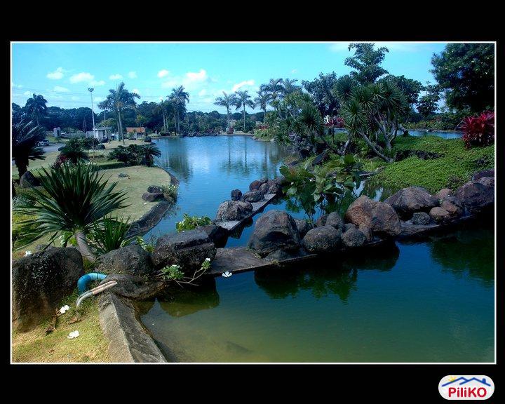 Picture of Memorial Lot for sale in Bacoor in Philippines