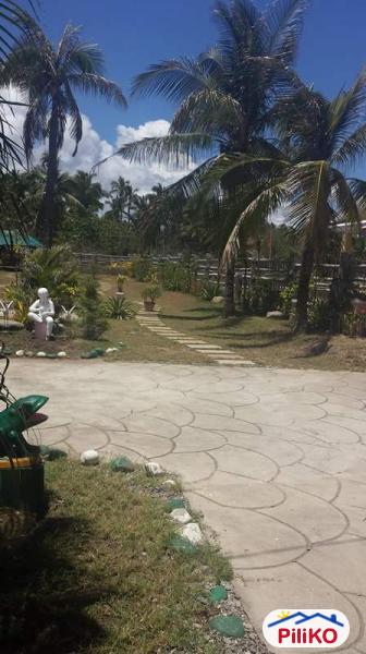 Picture of Other lots for sale in San Juan