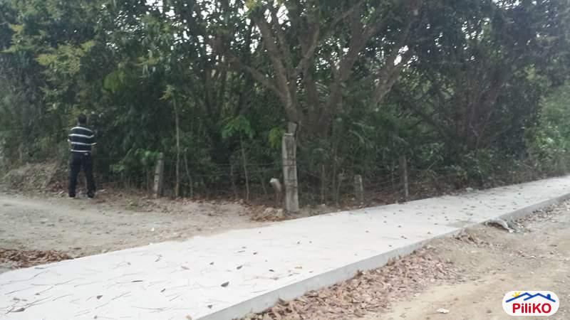 Picture of Agricultural Lot for sale in San Juan