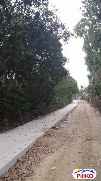 Agricultural Lot for sale in San Juan in Philippines