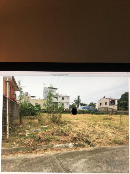 Pictures of Residential Lot for sale in Paranaque