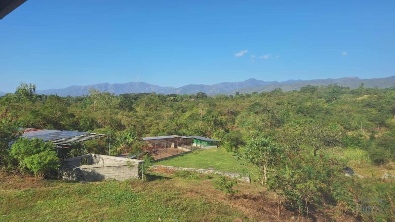 2 bedroom Land and Farm for sale in San Juan - image 11