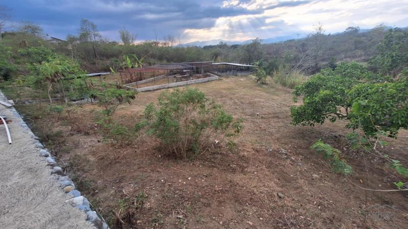 2 bedroom Land and Farm for sale in San Juan - image 13