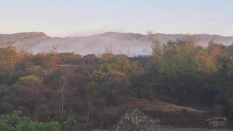 2 bedroom Land and Farm for sale in San Juan - image 14