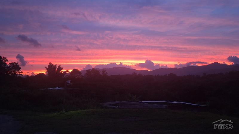 2 bedroom Land and Farm for sale in San Juan - image 16