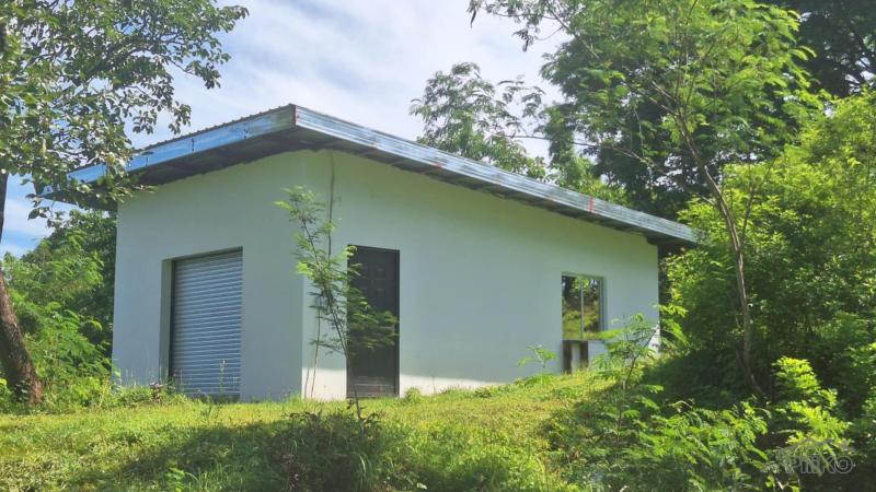 2 bedroom Land and Farm for sale in San Juan - image 7