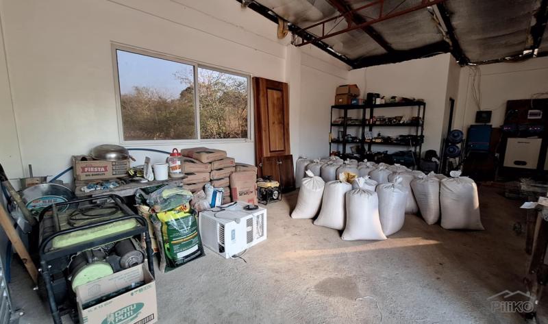 2 bedroom Land and Farm for sale in San Juan - image 8