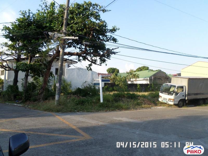Residential Lot for sale in Paranaque in Metro Manila